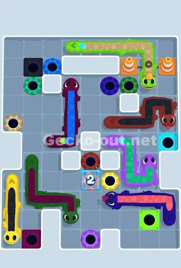 Gecko Out Level 703 Solution 2