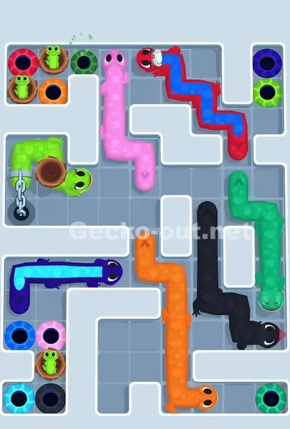 Gecko Out Level 731 Solution 2