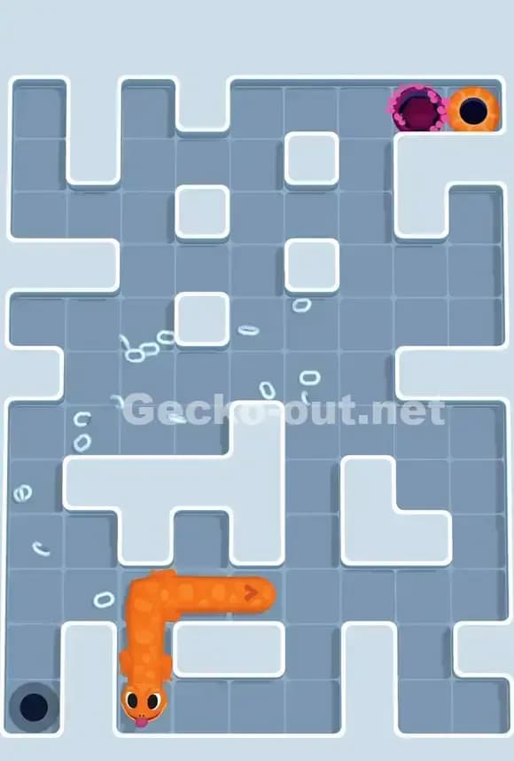 Gecko Out Level 883 Solution 3