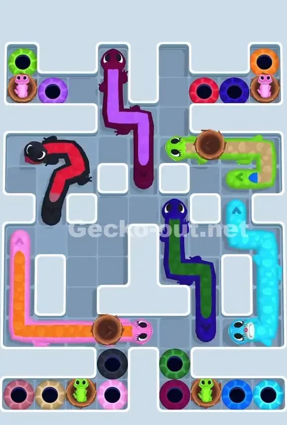 Gecko Out Level 764 Solution 1