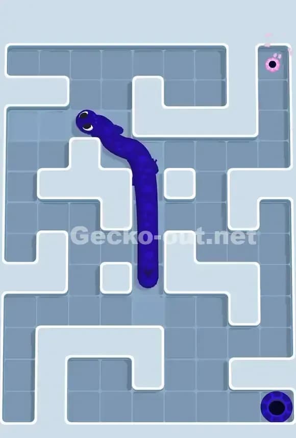 Gecko Out Level 774 Solution 3