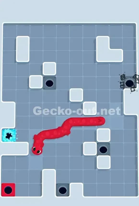 Gecko Out Level 711 Solution 3