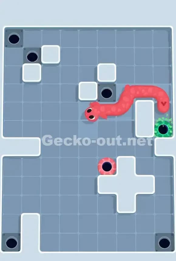 Gecko Out Level 685 Solution 3