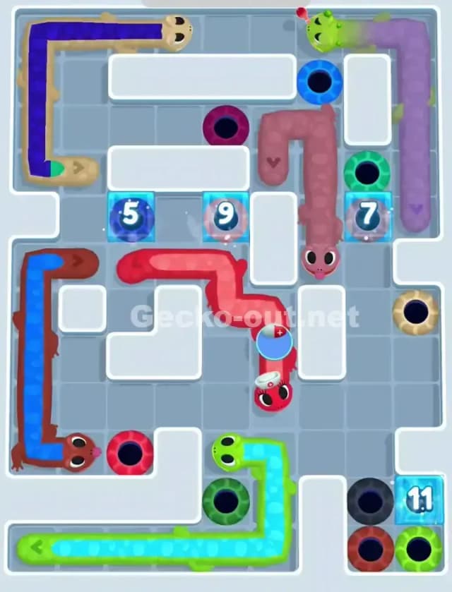 Gecko Out Level 1129 Solution 1