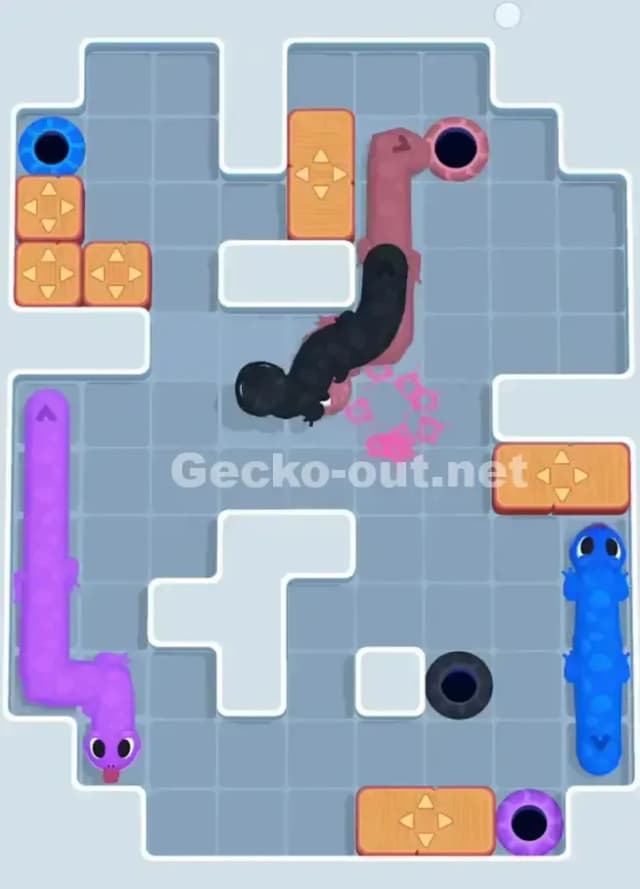 Gecko Out Level 1068 Solution 3