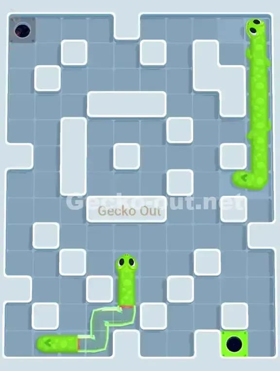 Gecko Out Level 955 Solution 3