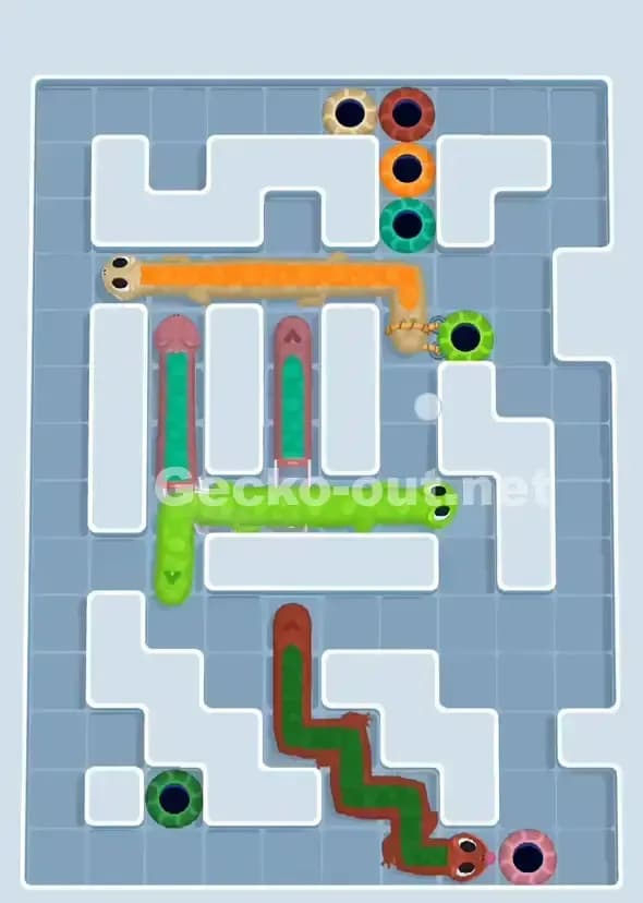 Gecko Out Level 906 Solution 3