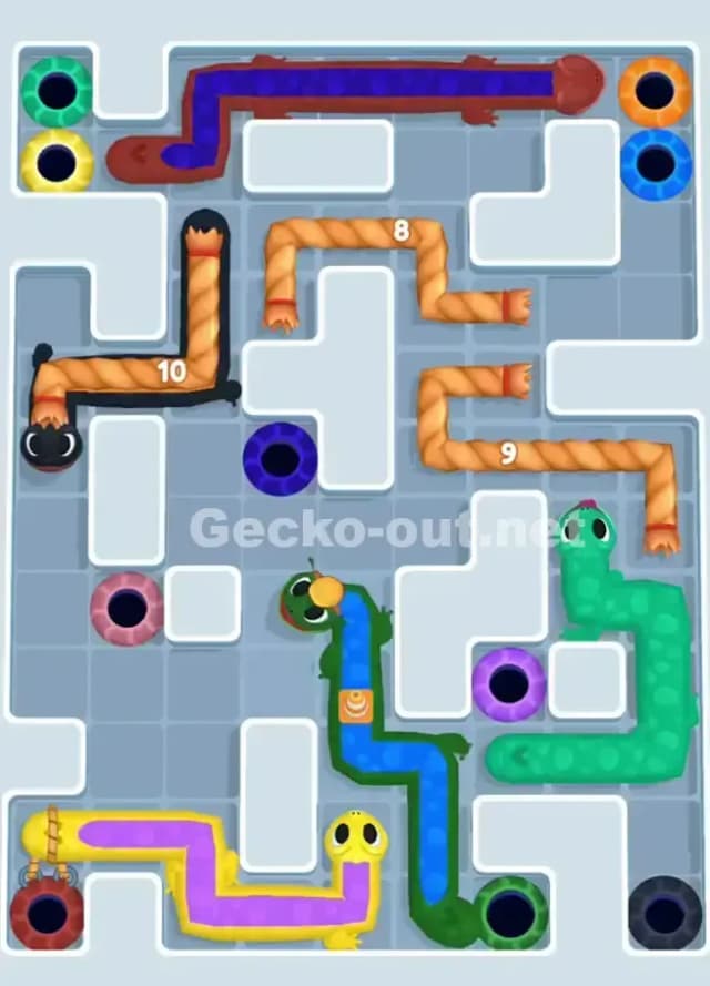 Gecko Out Level 1046 Solution 2
