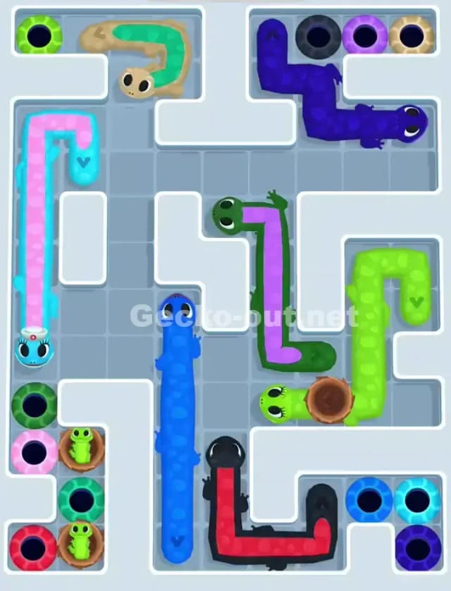 Gecko Out Level 1113 Solution 2