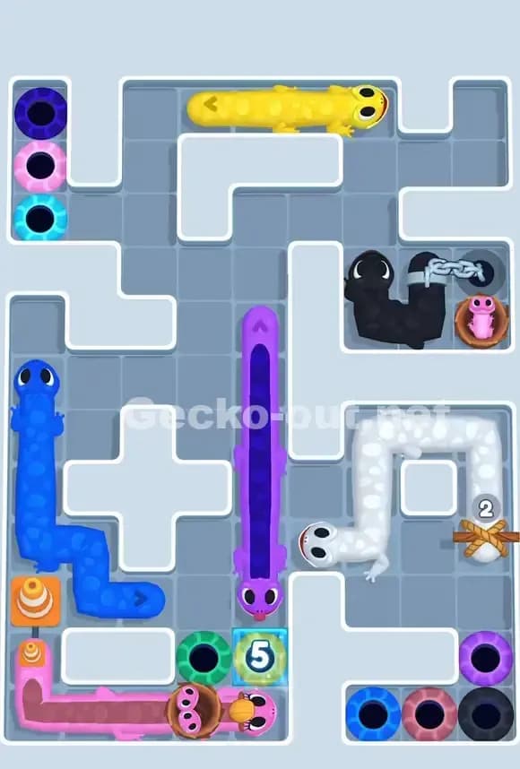 Gecko Out Level 765 Solution 2