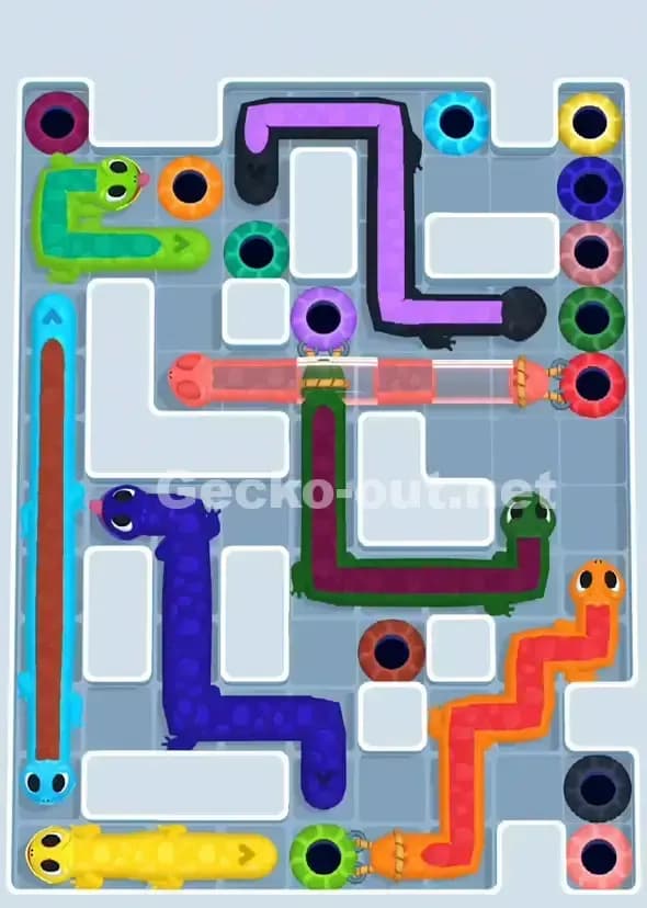 Gecko Out Level 898 Solution 1