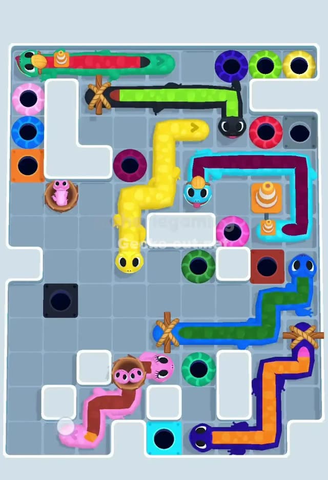 Gecko Out Level 678 Solution 2