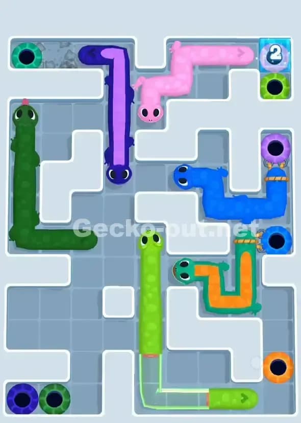 Gecko Out Level 890 Solution 3
