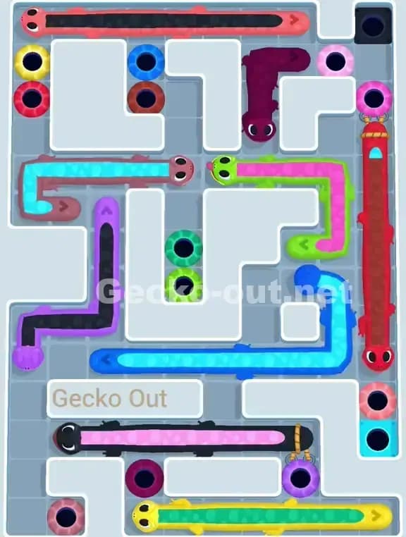 Gecko Out Level 954 Solution 1