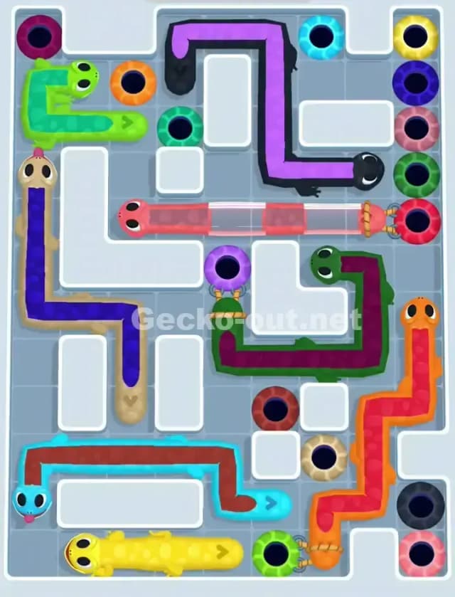 Gecko Out Level 1142 Gameplay