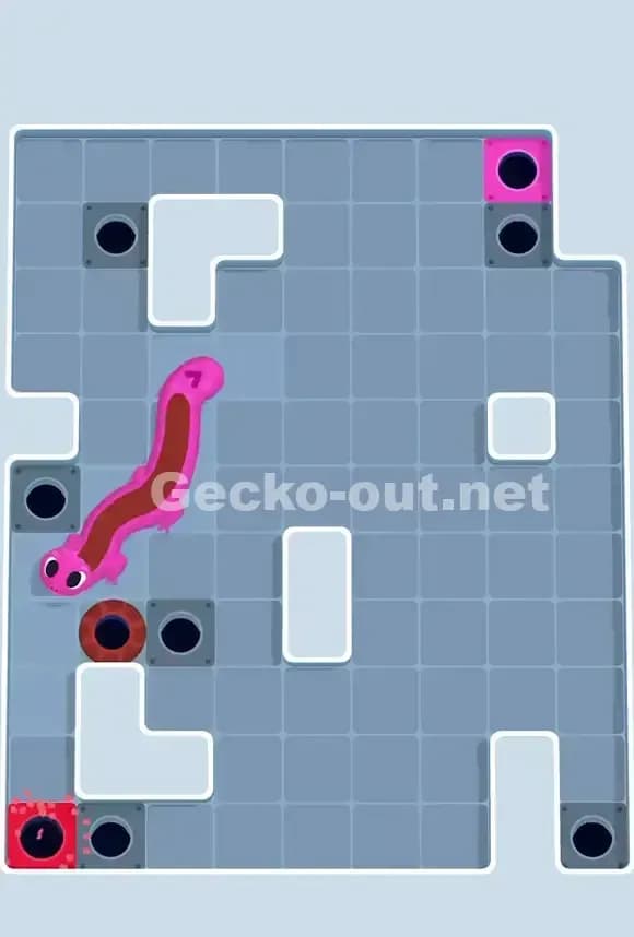 Gecko Out Level 698 Solution 3