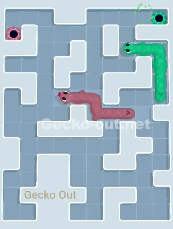 Gecko Out Level 965 Solution 3