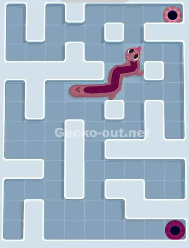 Gecko Out Level 1116 Solution 3