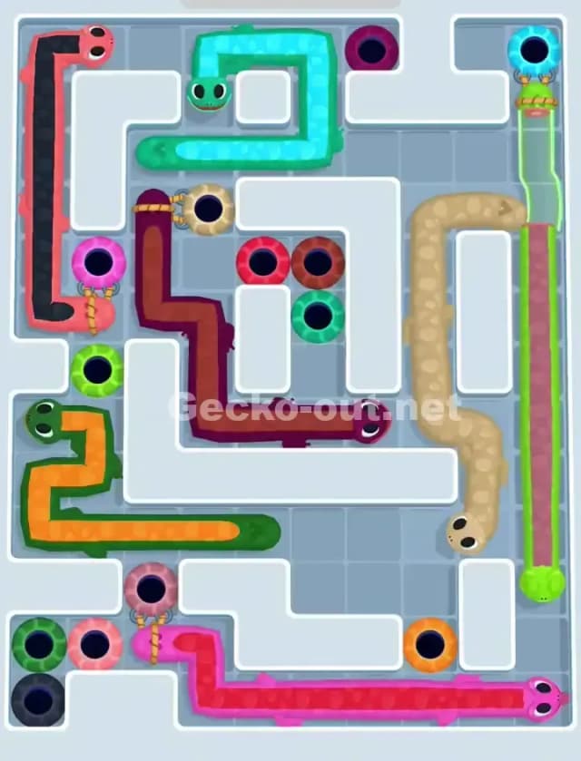Gecko Out Level 1160 Solution 2