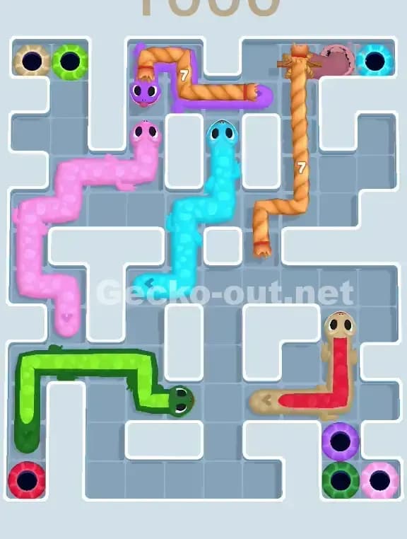 Gecko Out Level 1000 Solution 2