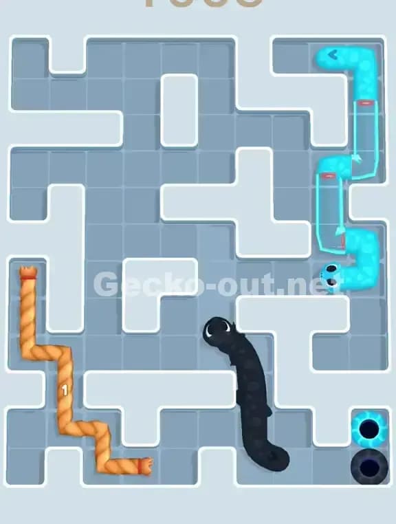 Gecko Out Level 1003 Solution 3