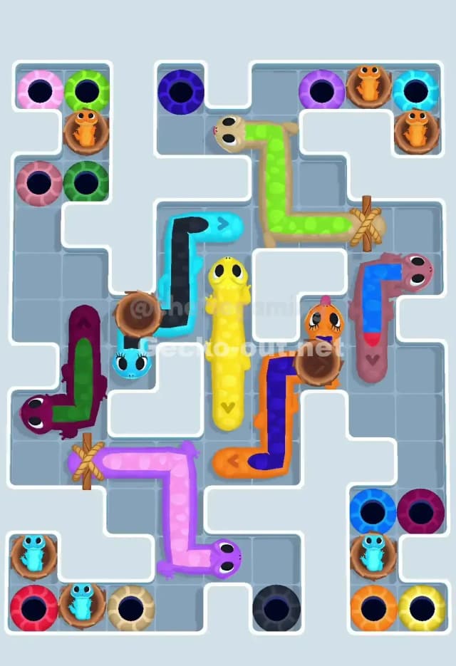 Gecko Out Level 664 Gameplay