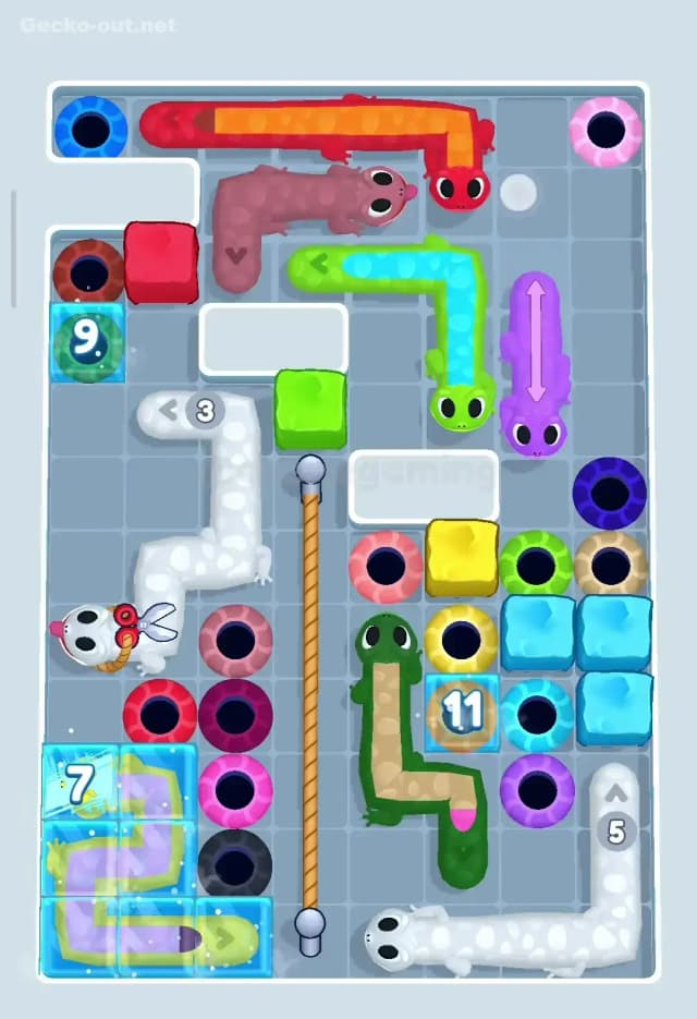 Gecko Out Level 202 Solution 1