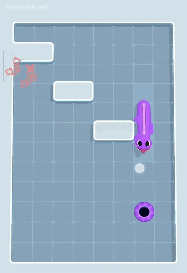 Gecko Out Level 202 Solution 3