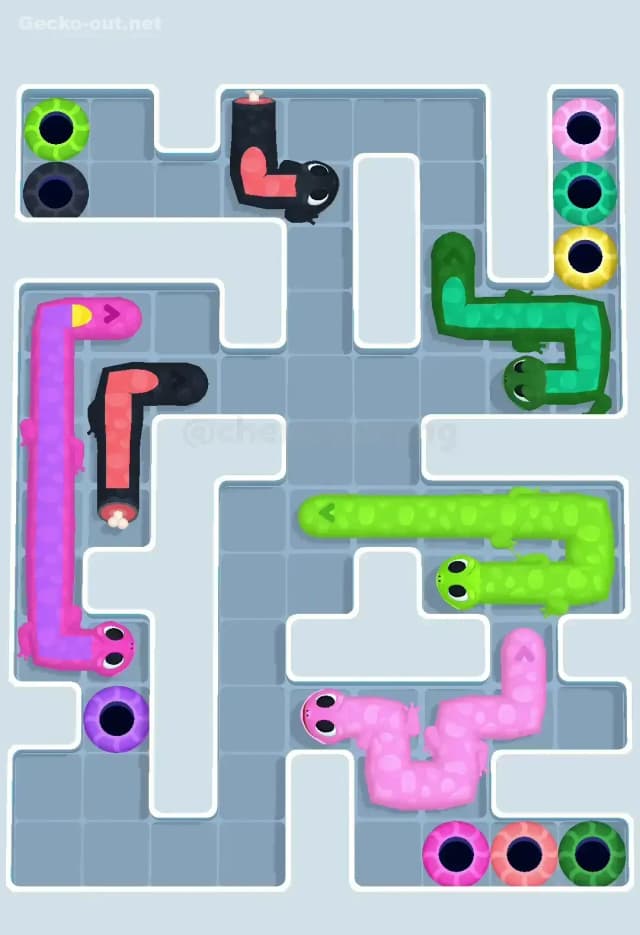 Gecko Out Level 560 Solution 2