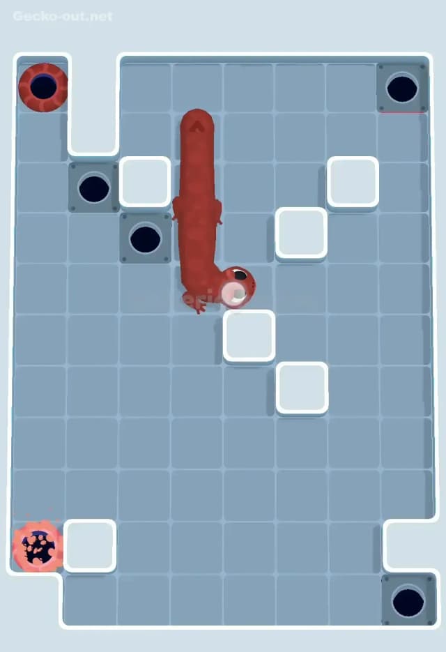 Gecko Out Level 491 Solution 3