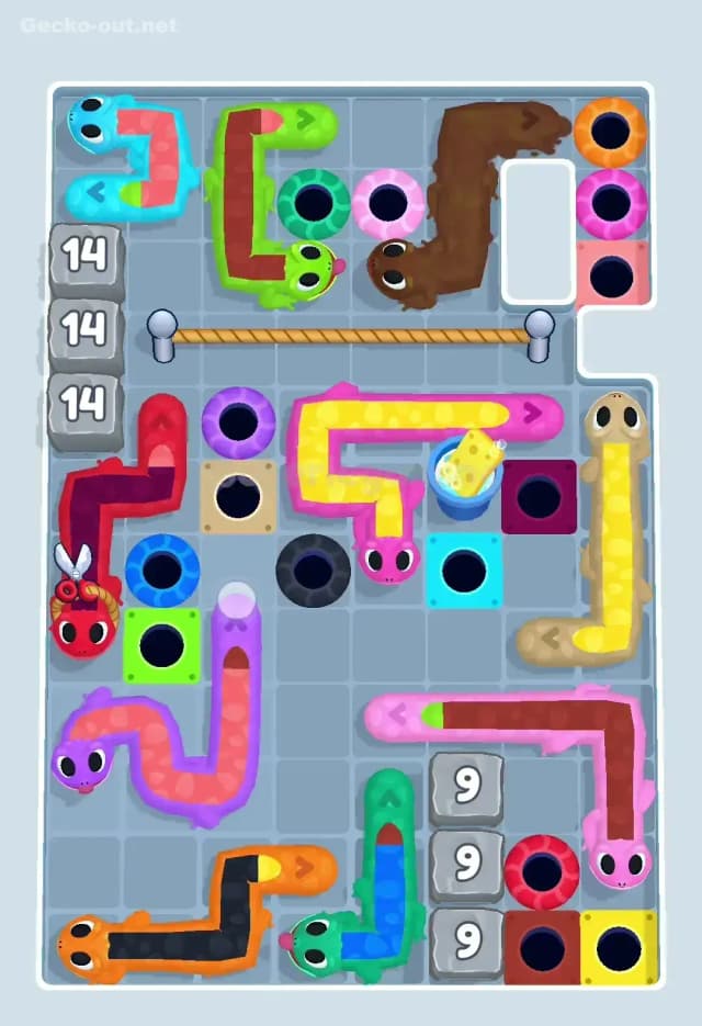 Gecko Out Level 446 Solution 1