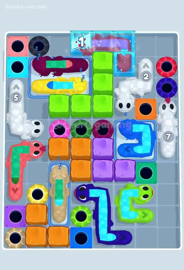 Gecko Out Level 340 Solution 1