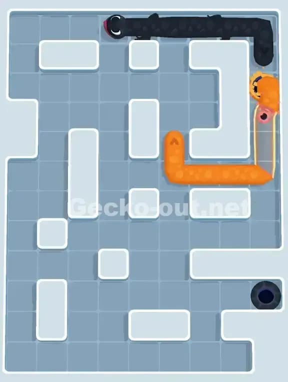 Gecko Out Level 979 Solution 3