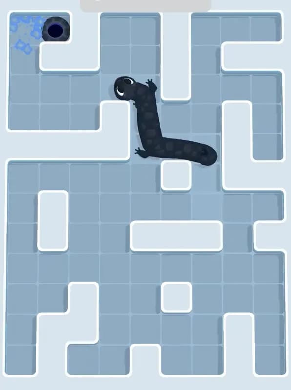 Gecko Out Level 1107 Solution 3