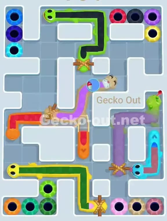 Gecko Out Level 964 Solution 1