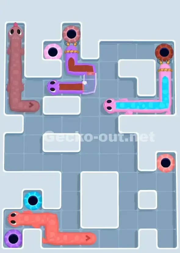 Gecko Out Level 909 Solution 3