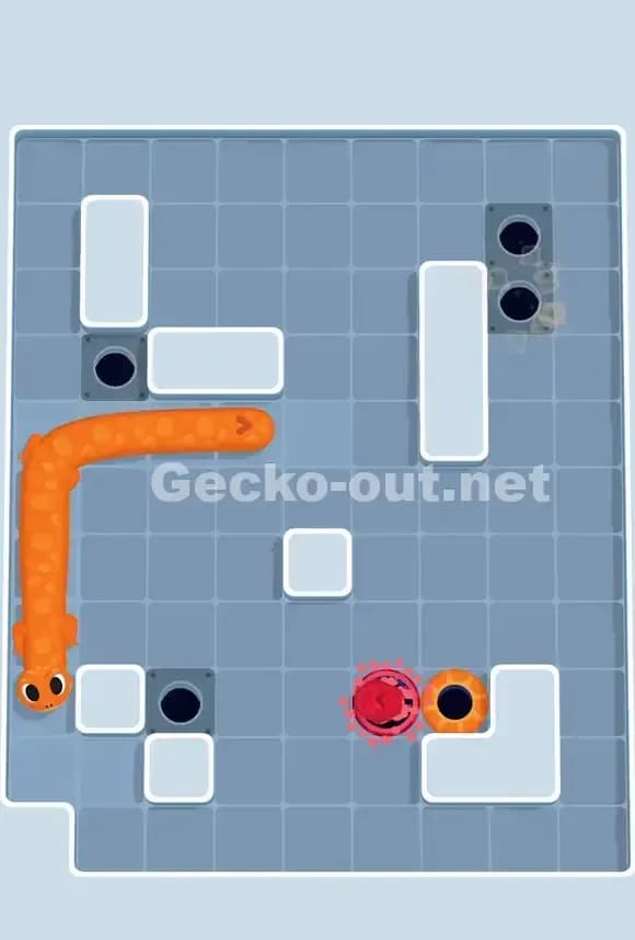Gecko Out Level 716 Solution 3