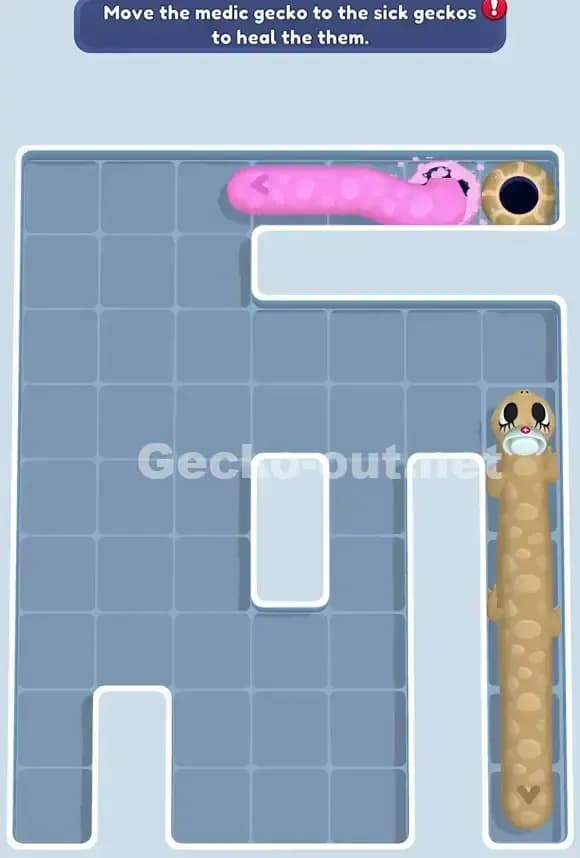 Gecko Out Level 723 Solution 3