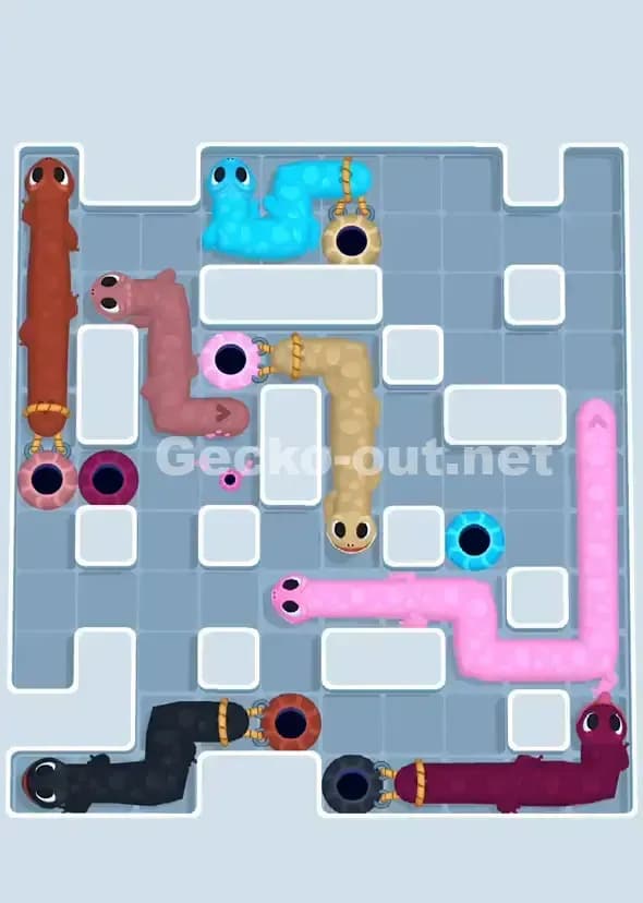 Gecko Out Level 908 Solution 3